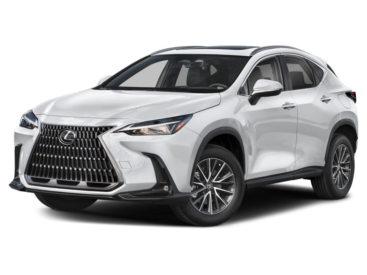 2024 Lexus NX 250 Vehicle Photo in Hollywood, FL 33021