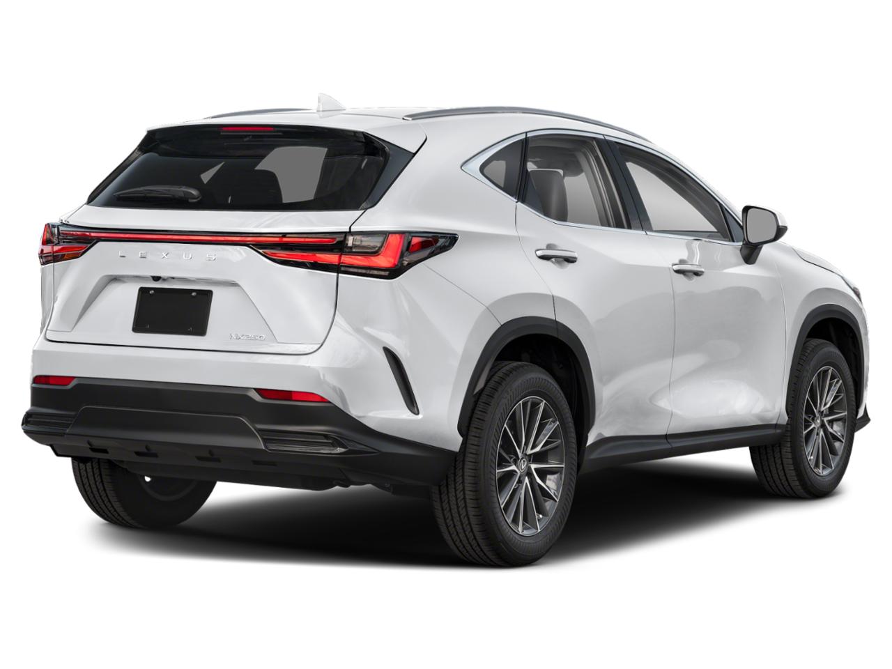 2024 Lexus NX 250 Vehicle Photo in Miami, FL 33169