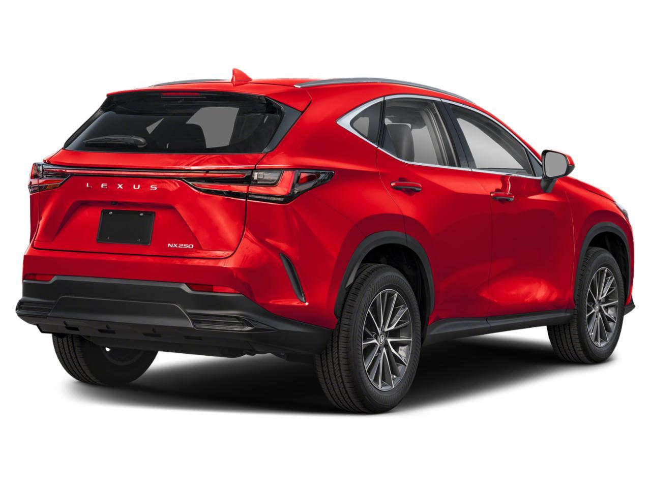 2024 Lexus NX 250 Vehicle Photo in Clearwater, FL 33761