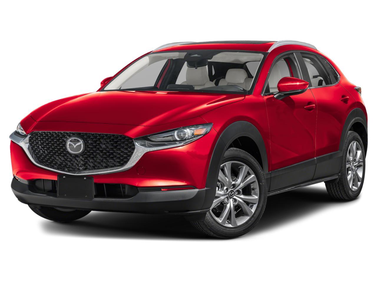 2024 Mazda CX-30 Vehicle Photo in Green Bay, WI 54304