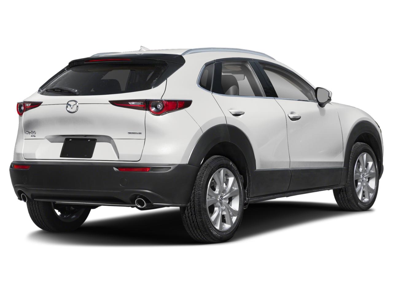 2024 Mazda CX-30 Vehicle Photo in Green Bay, WI 54304