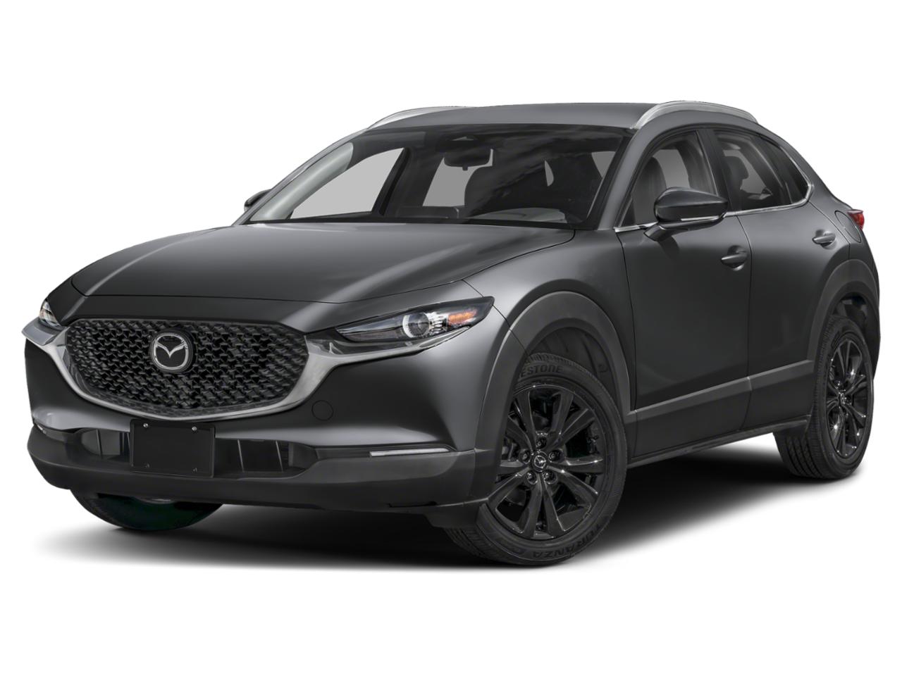 2024 Mazda CX-30 Vehicle Photo in Green Bay, WI 54304