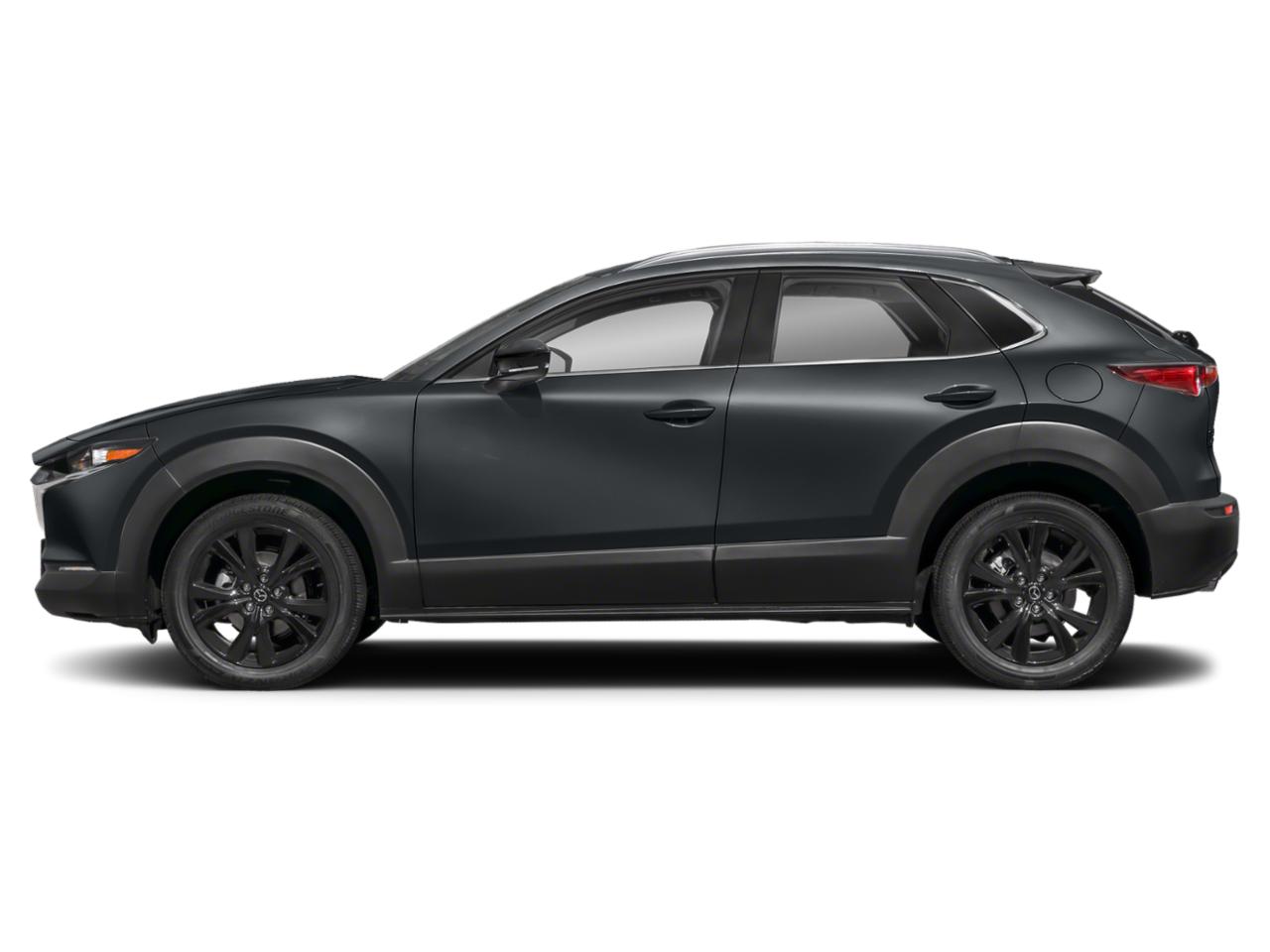 2024 Mazda CX-30 Vehicle Photo in Danville, KY 40422