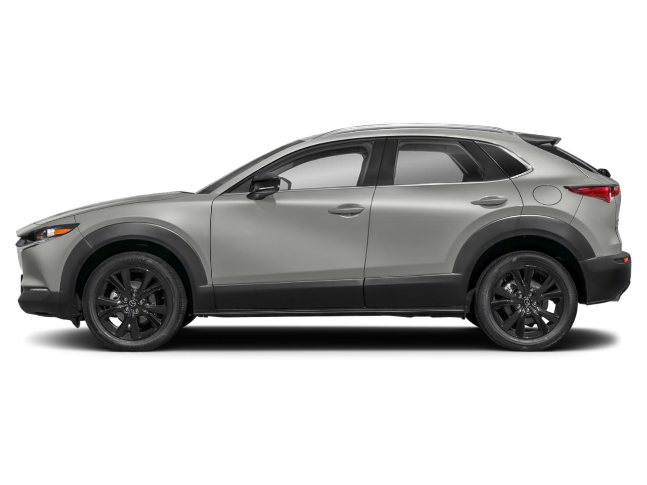 2024 Mazda CX-30 Vehicle Photo in Danville, KY 40422