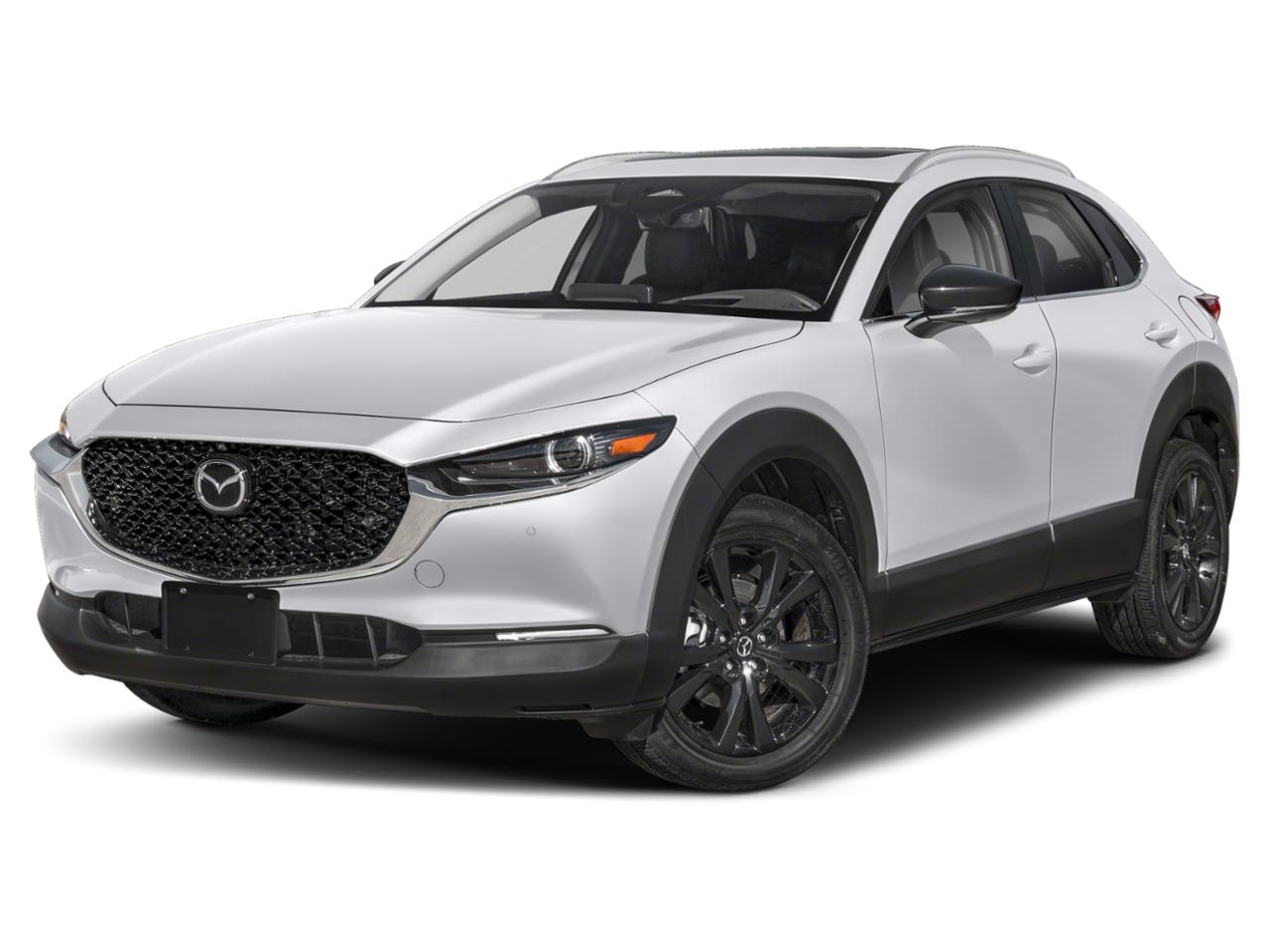 2024 Mazda CX-30 Vehicle Photo in Green Bay, WI 54304