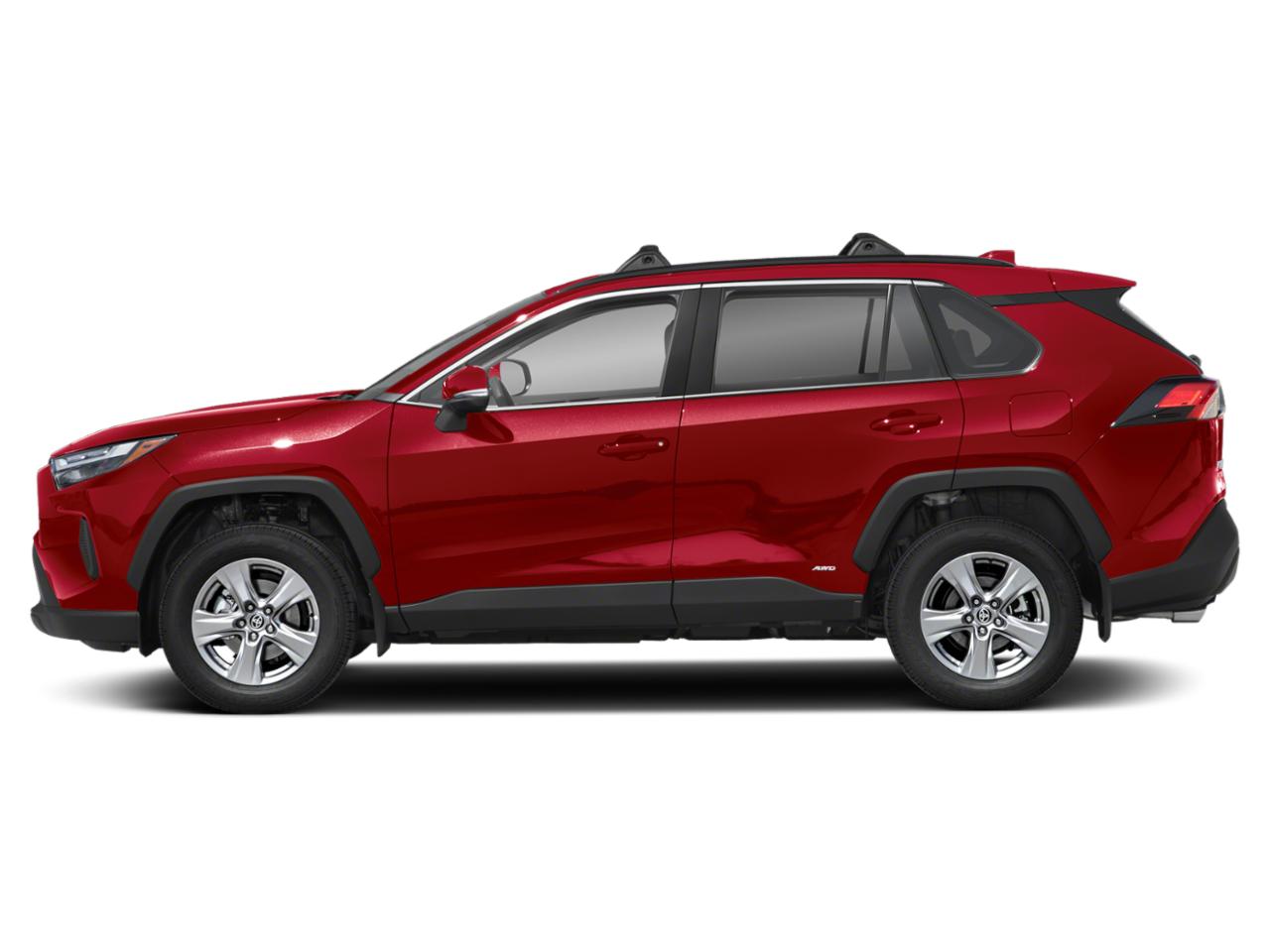 2024 Toyota RAV4 Vehicle Photo in Tampa, FL 33614