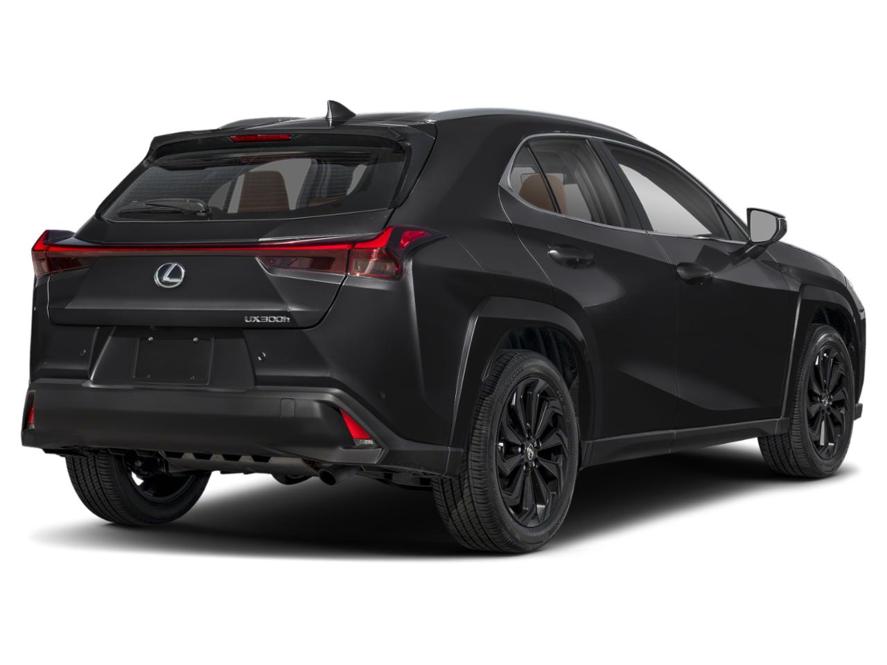 2025 Lexus UX 300h Vehicle Photo in DALLAS, TX 75209