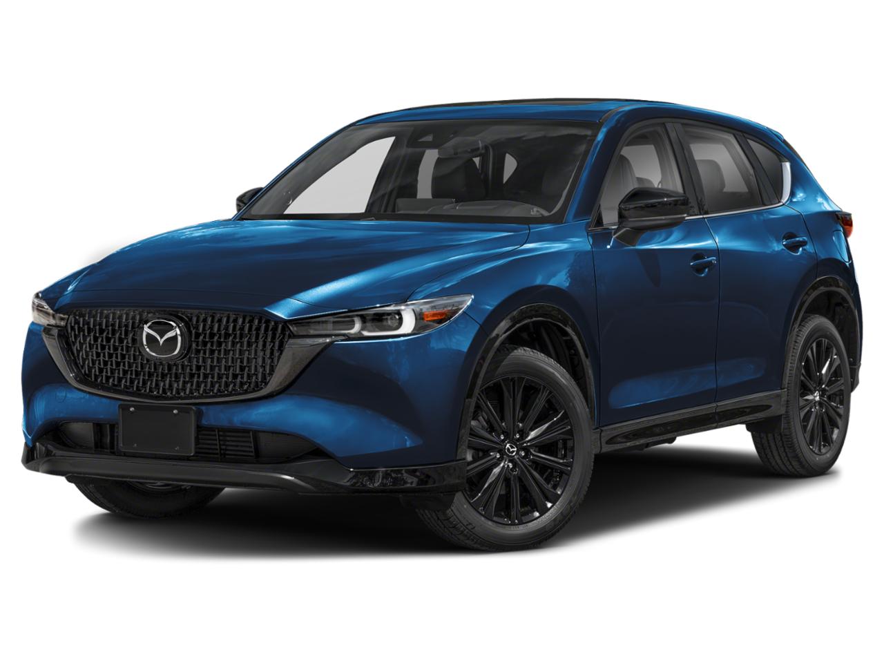 2025 Mazda CX-5 Vehicle Photo in Danville, KY 40422