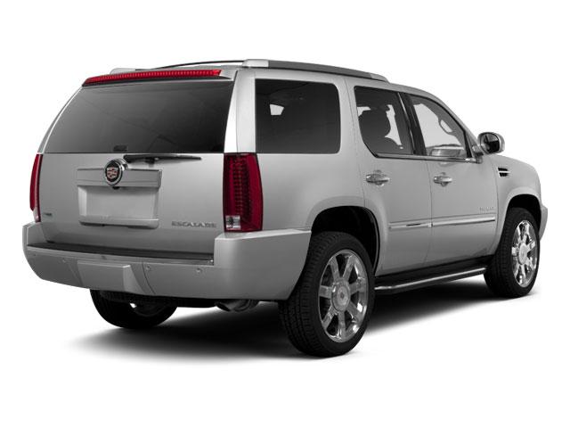 2010 Cadillac Escalade Vehicle Photo in Plainfield, IL 60586