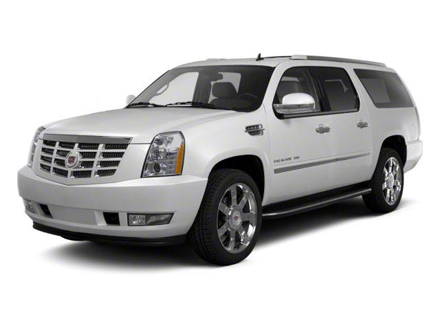 2010 Cadillac Escalade ESV Vehicle Photo in CORPUS CHRISTI, TX 78412-4902