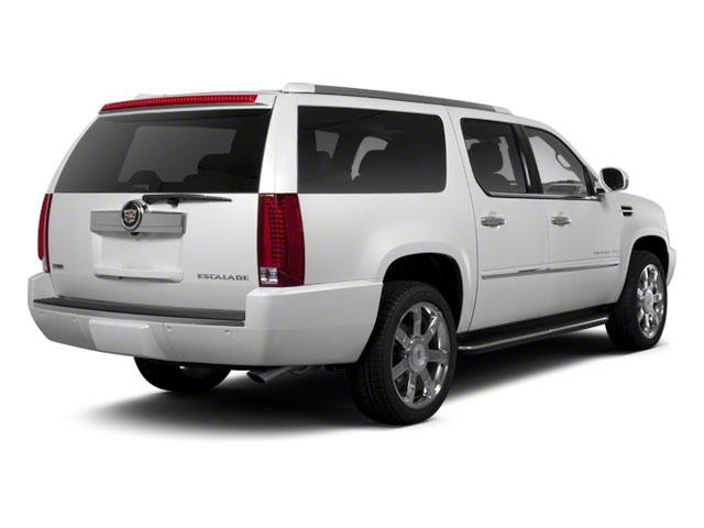 2010 Cadillac Escalade ESV Vehicle Photo in CORPUS CHRISTI, TX 78412-4902