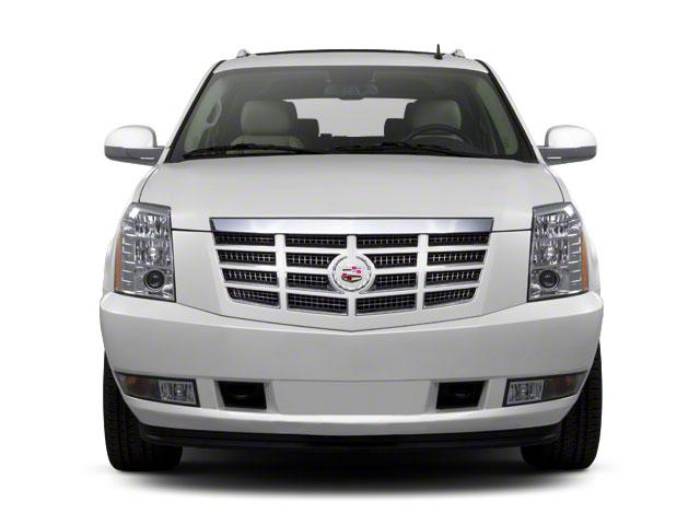 2010 Cadillac Escalade ESV Vehicle Photo in CORPUS CHRISTI, TX 78412-4902