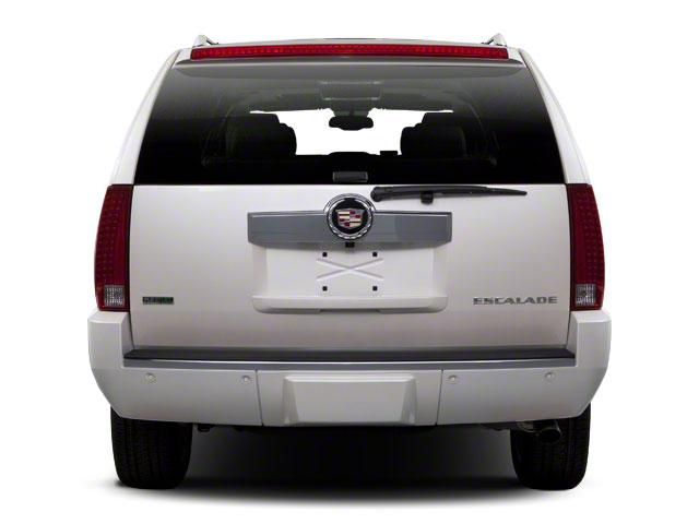 2010 Cadillac Escalade ESV Vehicle Photo in CORPUS CHRISTI, TX 78412-4902