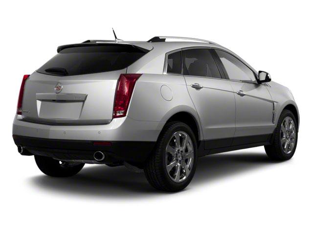 2010 Cadillac SRX Vehicle Photo in DETROIT, MI 48207-4102