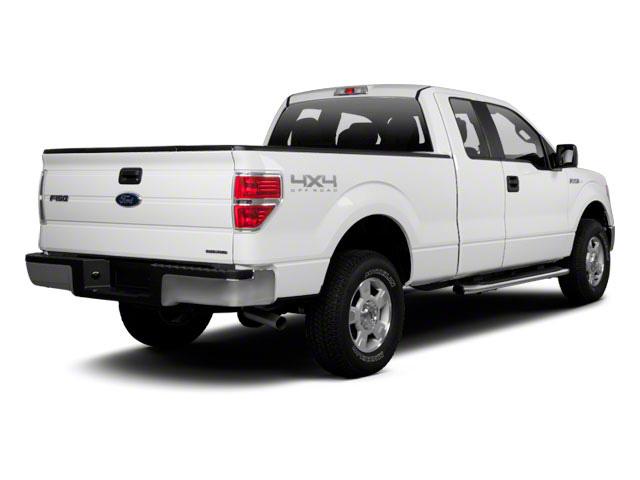 2010 Ford F-150 Vehicle Photo in WACO, TX 76710-2592