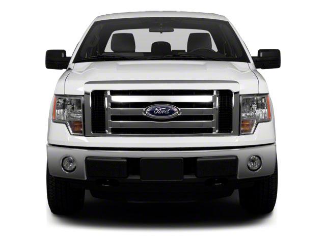 2010 Ford F-150 Vehicle Photo in Jacksonville, FL 32256