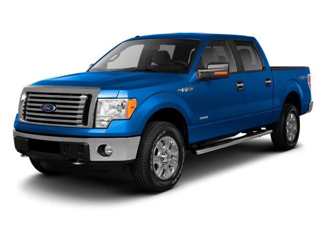 2011 Ford F-150 Vehicle Photo in RED SPRINGS, NC 28377-1640