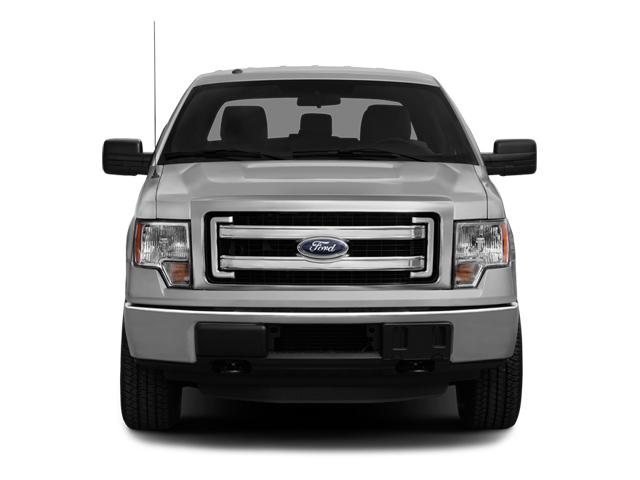 2013 Ford F-150 Vehicle Photo in St. Petersburg, FL 33713