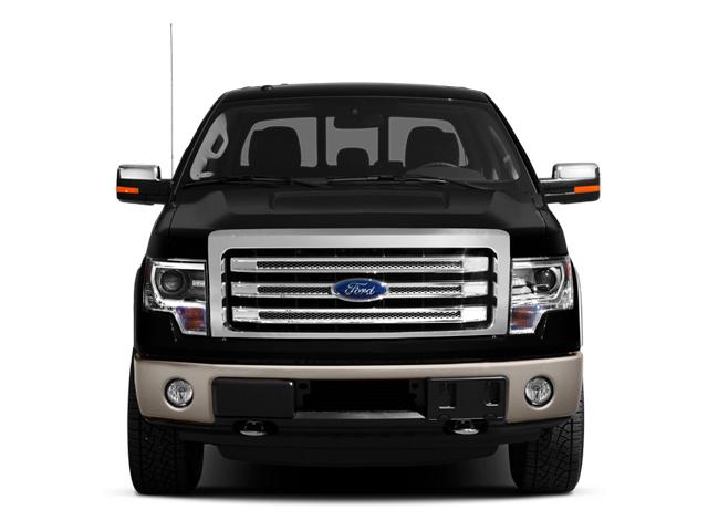 2013 Ford F-150 Vehicle Photo in Jacksonville, FL 32256