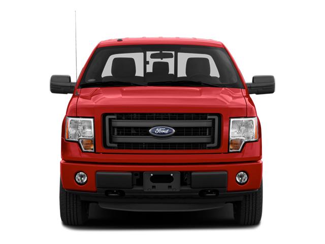 2014 Ford F-150 Vehicle Photo in Danville, KY 40422-2805