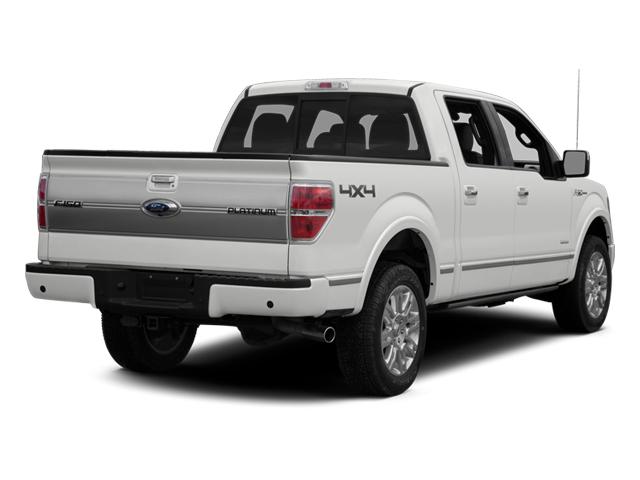 2014 Ford F-150 Vehicle Photo in Corpus Christi, TX 78415