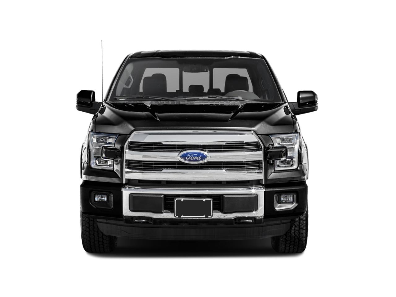 2015 Ford F-150 Vehicle Photo in Sanford, FL 32771