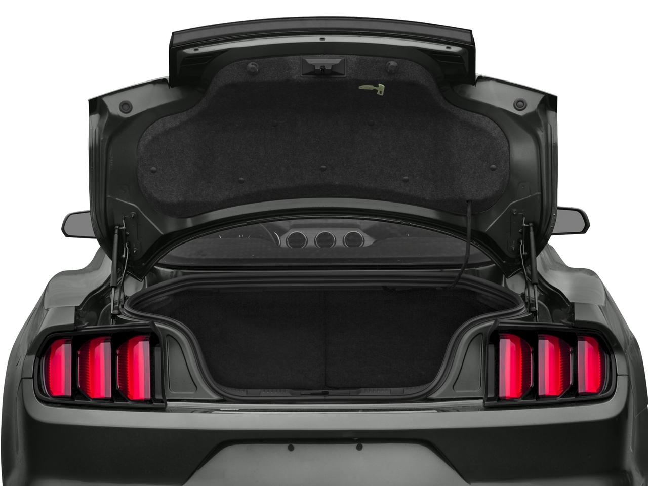 2017 Ford Mustang Vehicle Photo in Panama City, FL 32401