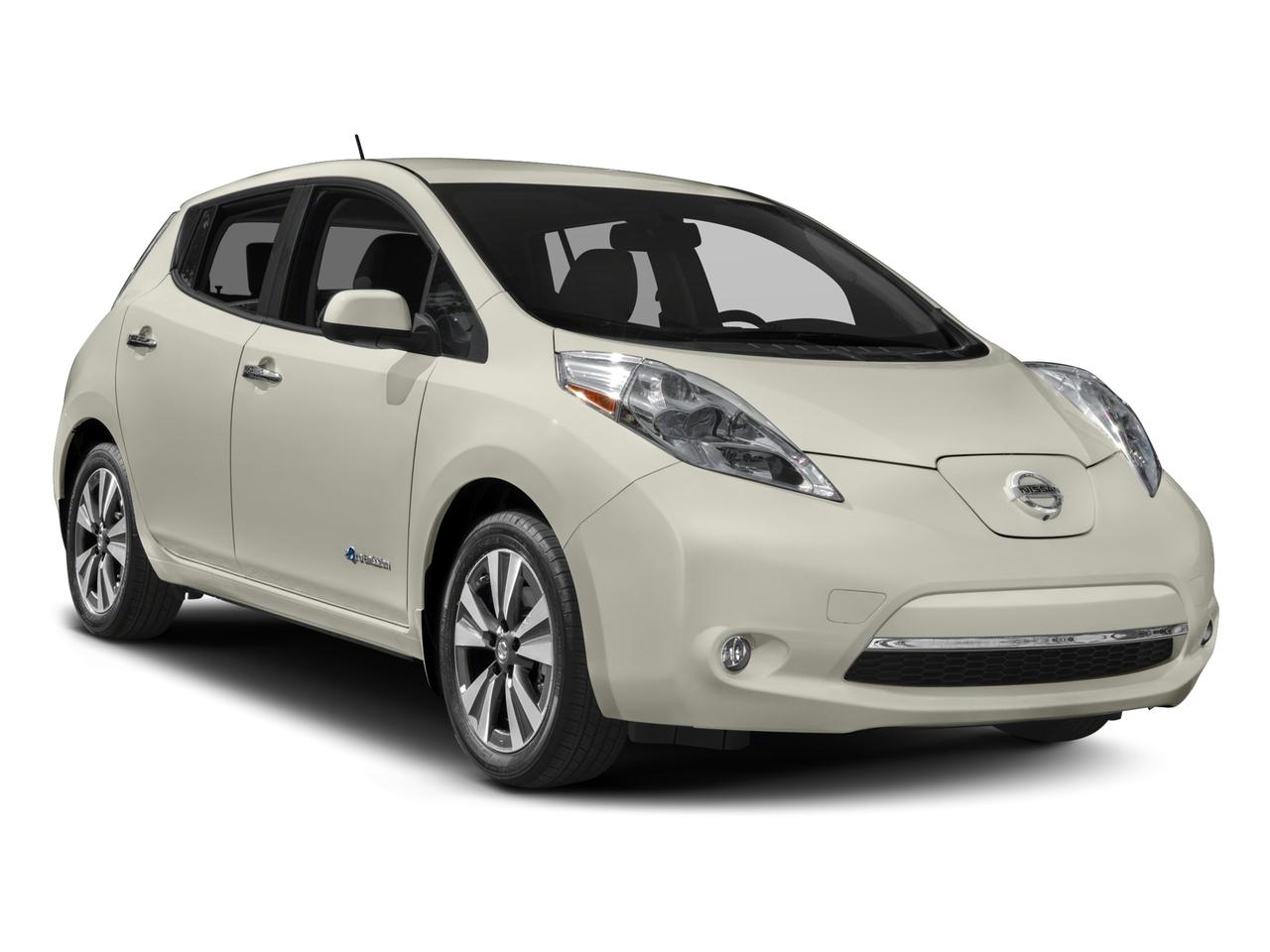 2017 Nissan LEAF Vehicle Photo in Canton, MI 48188