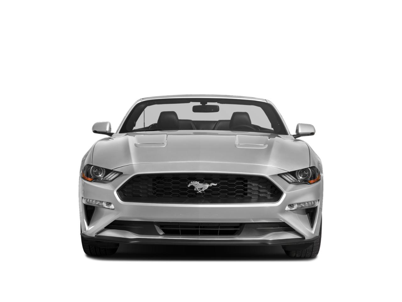 2018 Ford Mustang Vehicle Photo in St. Petersburg, FL 33713