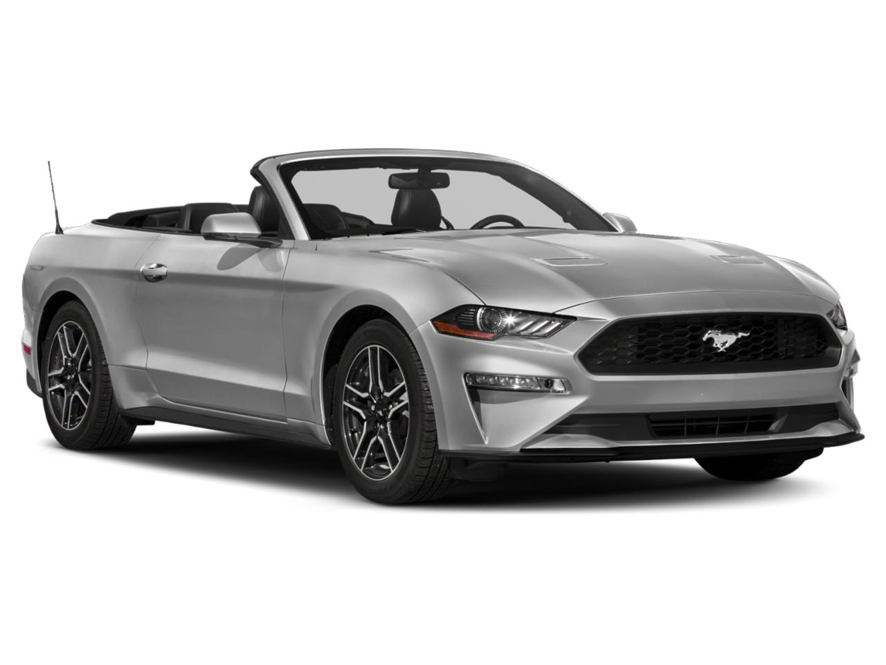 2018 Ford Mustang Vehicle Photo in St. Petersburg, FL 33713