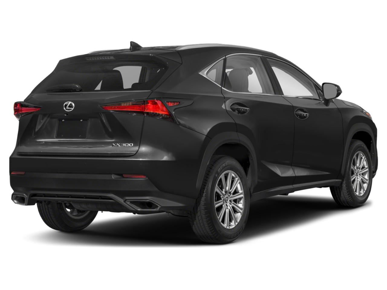 2018 Lexus NX 300 Vehicle Photo in Winter Park, FL 32792