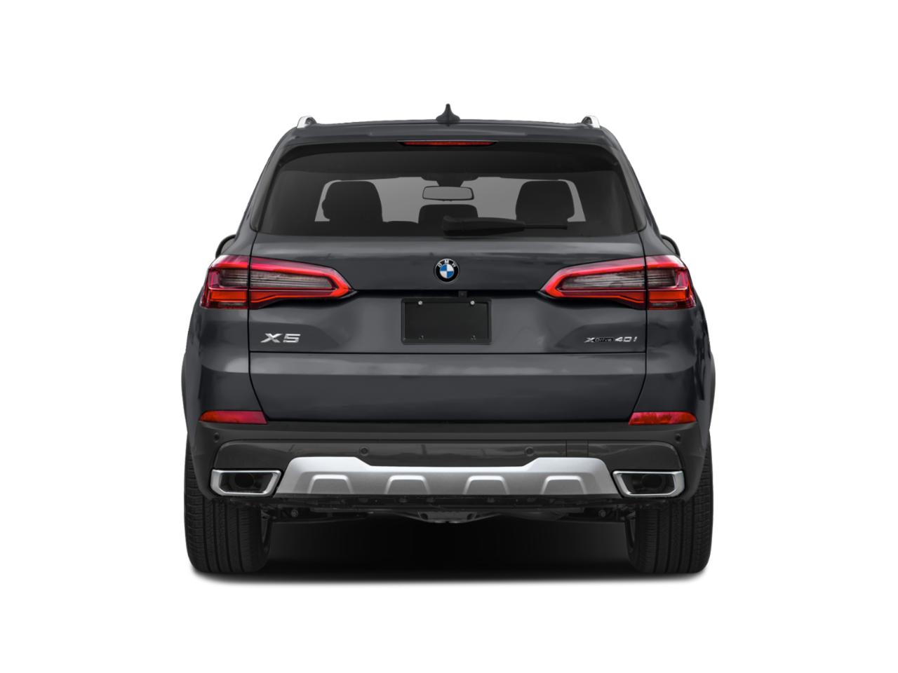 2019 BMW X5 xDrive40i Vehicle Photo in Appleton, WI 54913