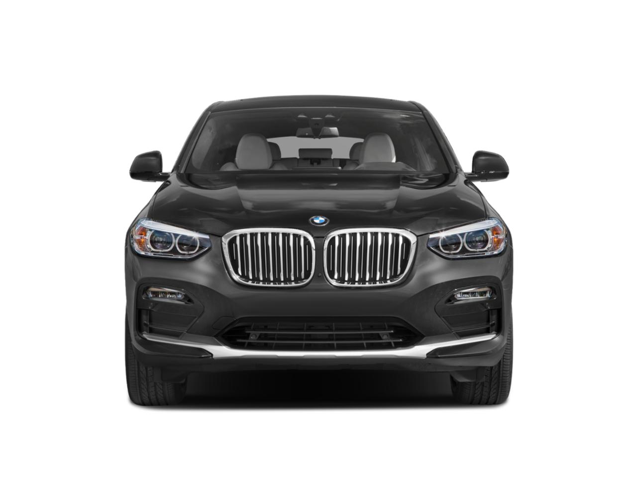 2019 BMW X4 xDrive30i Vehicle Photo in Davie, FL 33331