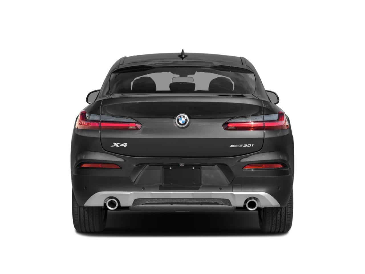 2019 BMW X4 xDrive30i Vehicle Photo in Davie, FL 33331