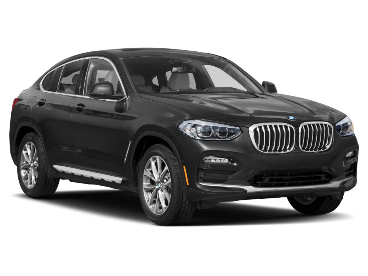 2019 BMW X4 xDrive30i Vehicle Photo in Pembroke Pines , FL 33027