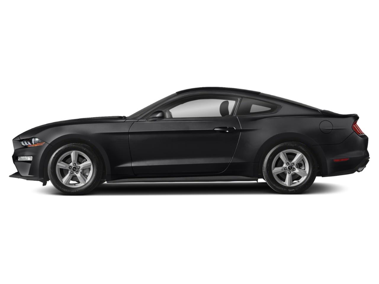 2019 Ford Mustang Vehicle Photo in MONROE, NC 28110-8431