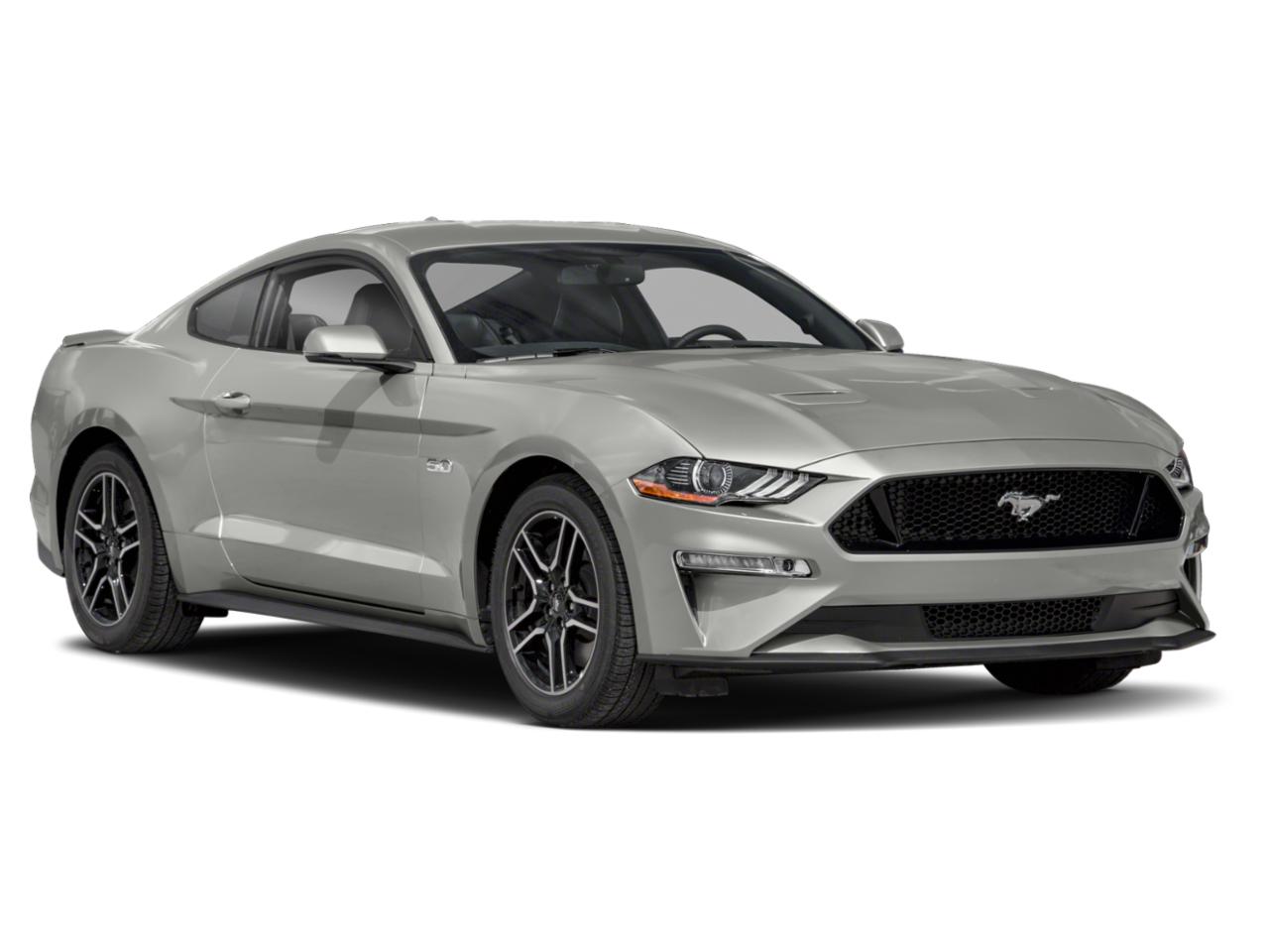 2019 Ford Mustang Vehicle Photo in Cockeysville, MD 21030-2508