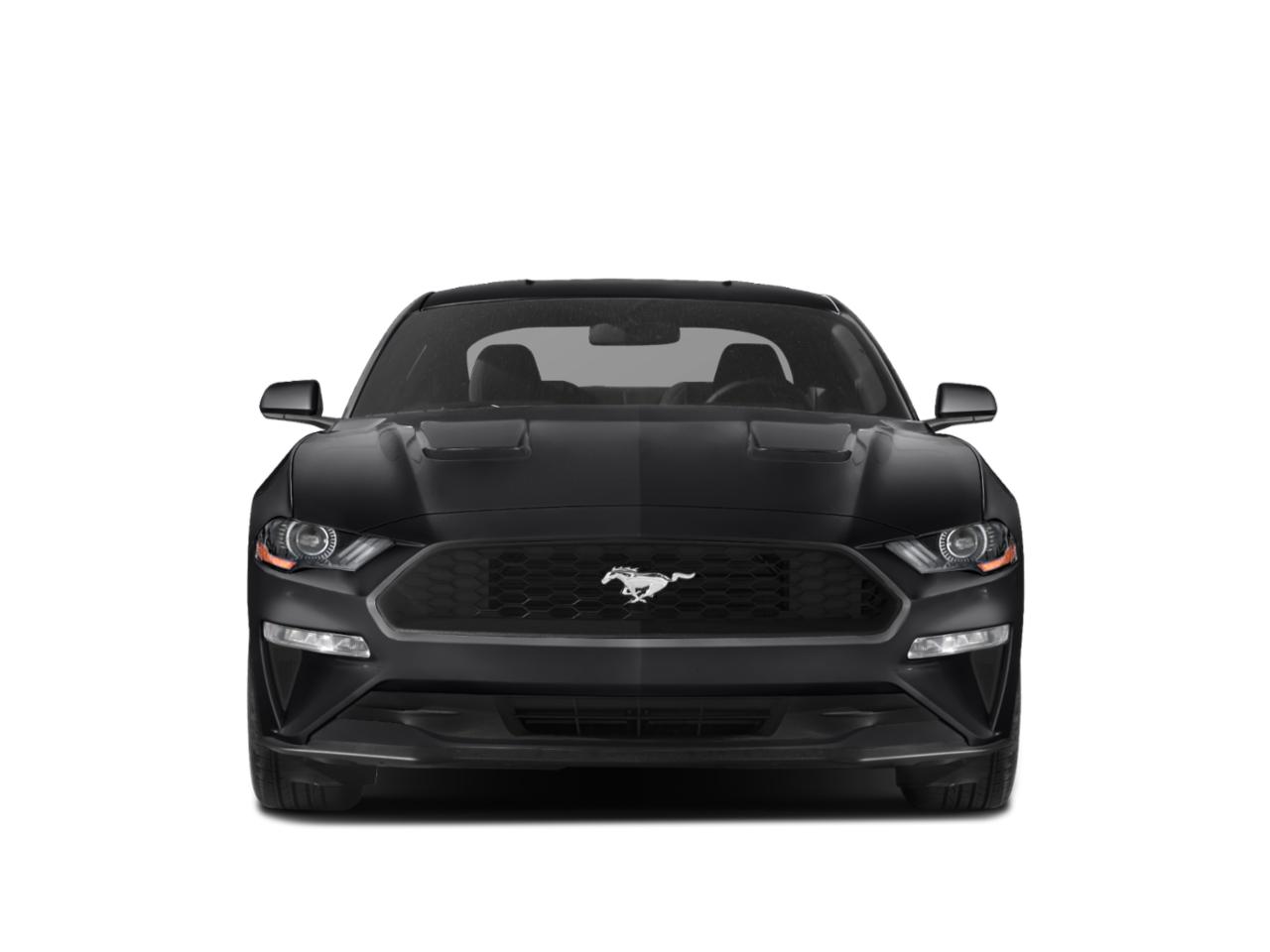 2019 Ford Mustang Vehicle Photo in Pinellas Park , FL 33781