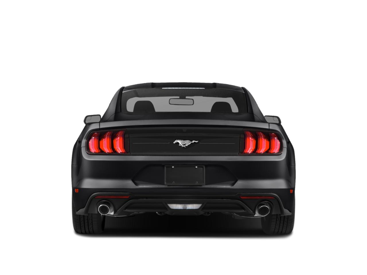 2019 Ford Mustang Vehicle Photo in MONROE, NC 28110-8431