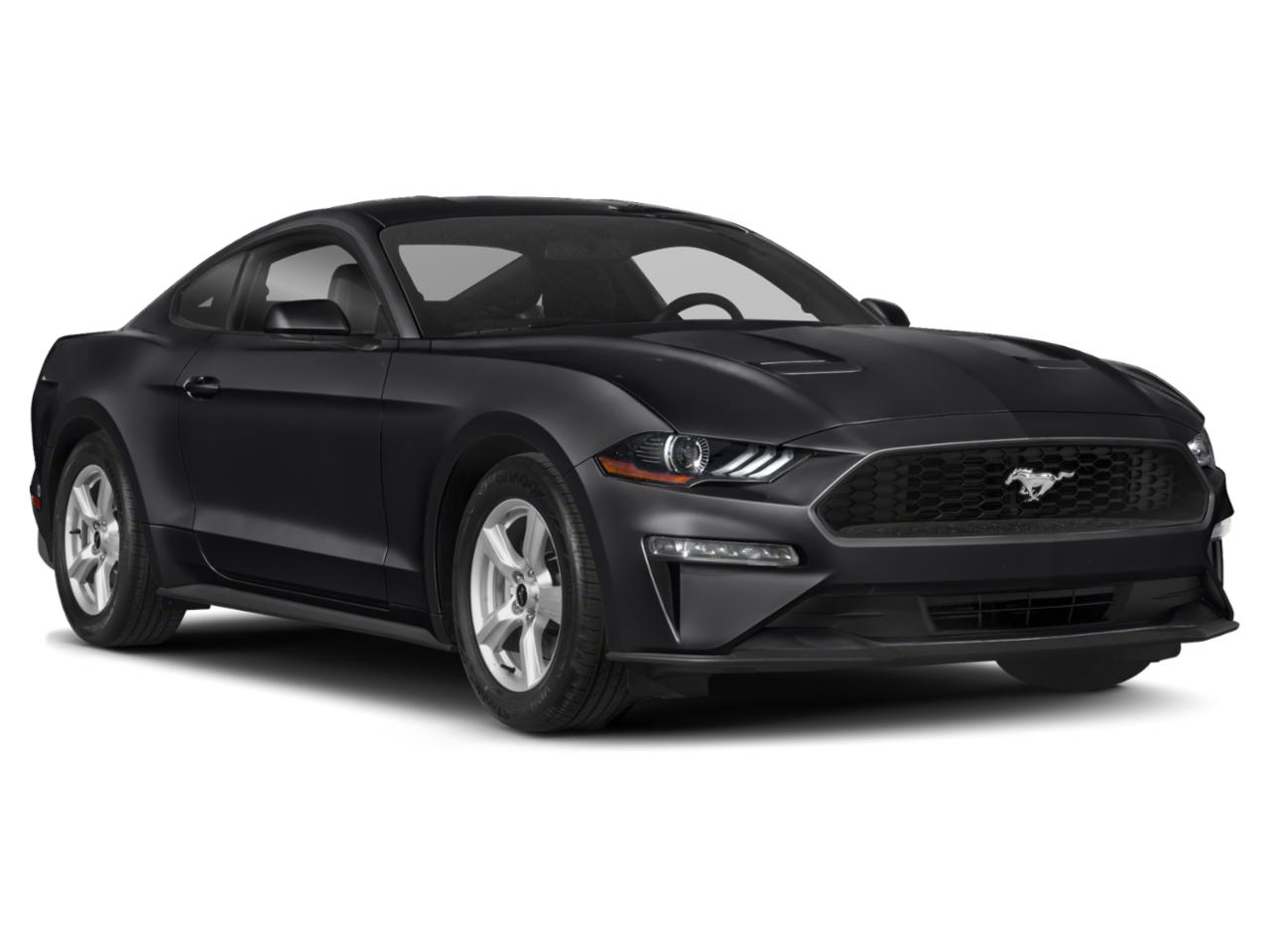 2019 Ford Mustang Vehicle Photo in MONROE, NC 28110-8431