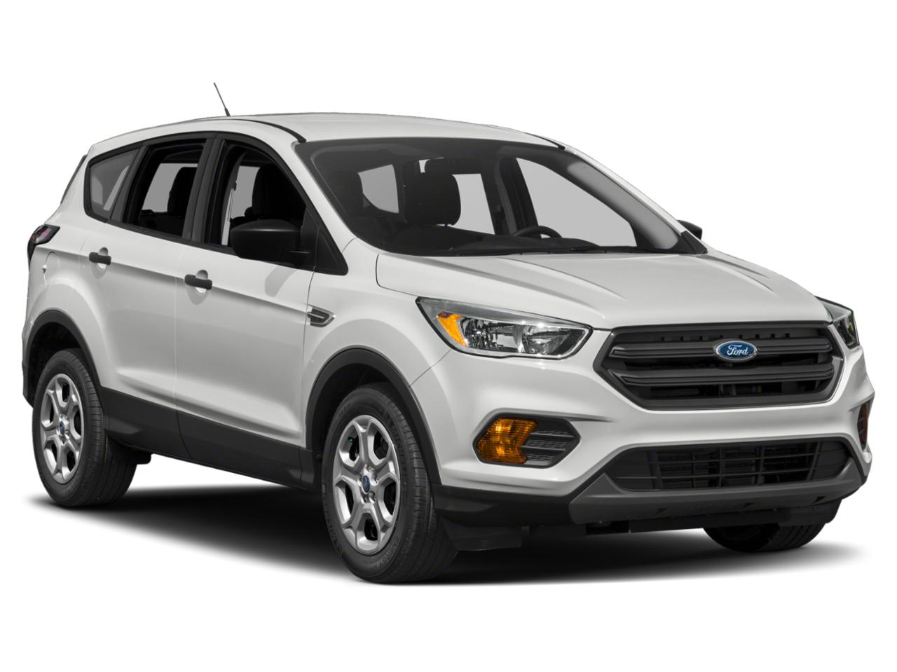 2019 Ford Escape Vehicle Photo in St. Petersburg, FL 33713