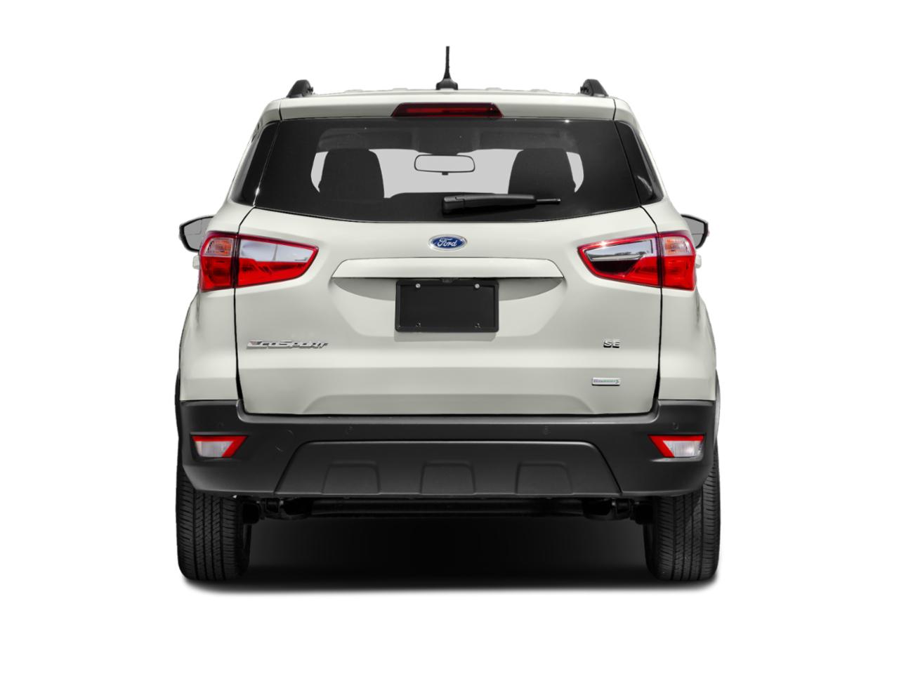 2019 Ford EcoSport Vehicle Photo in Appleton, WI 54913