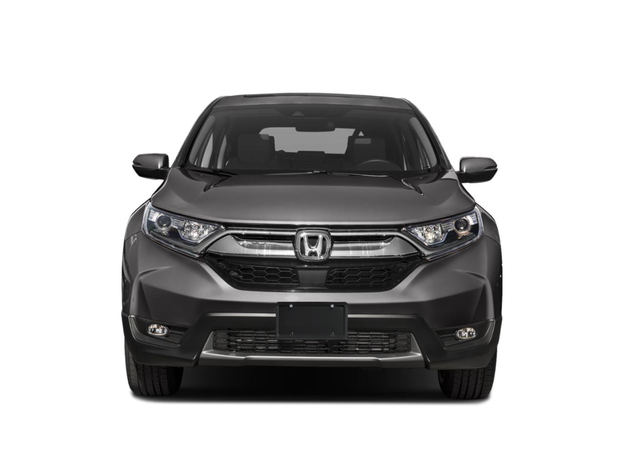 2019 Honda CR-V Vehicle Photo in Bradenton, FL 34207