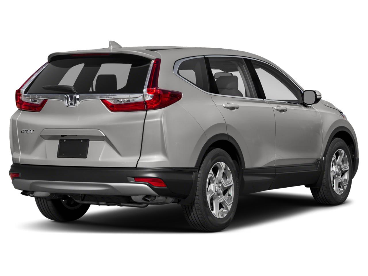 2019 Honda CR-V Vehicle Photo in Jacksonville, FL 32244