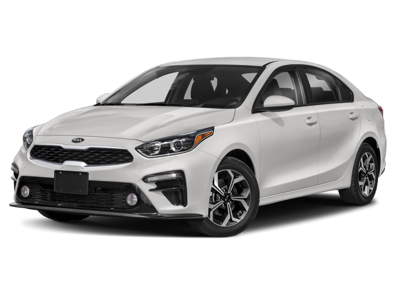 2019 Kia Forte Vehicle Photo in DUNN, NC 28334-8900