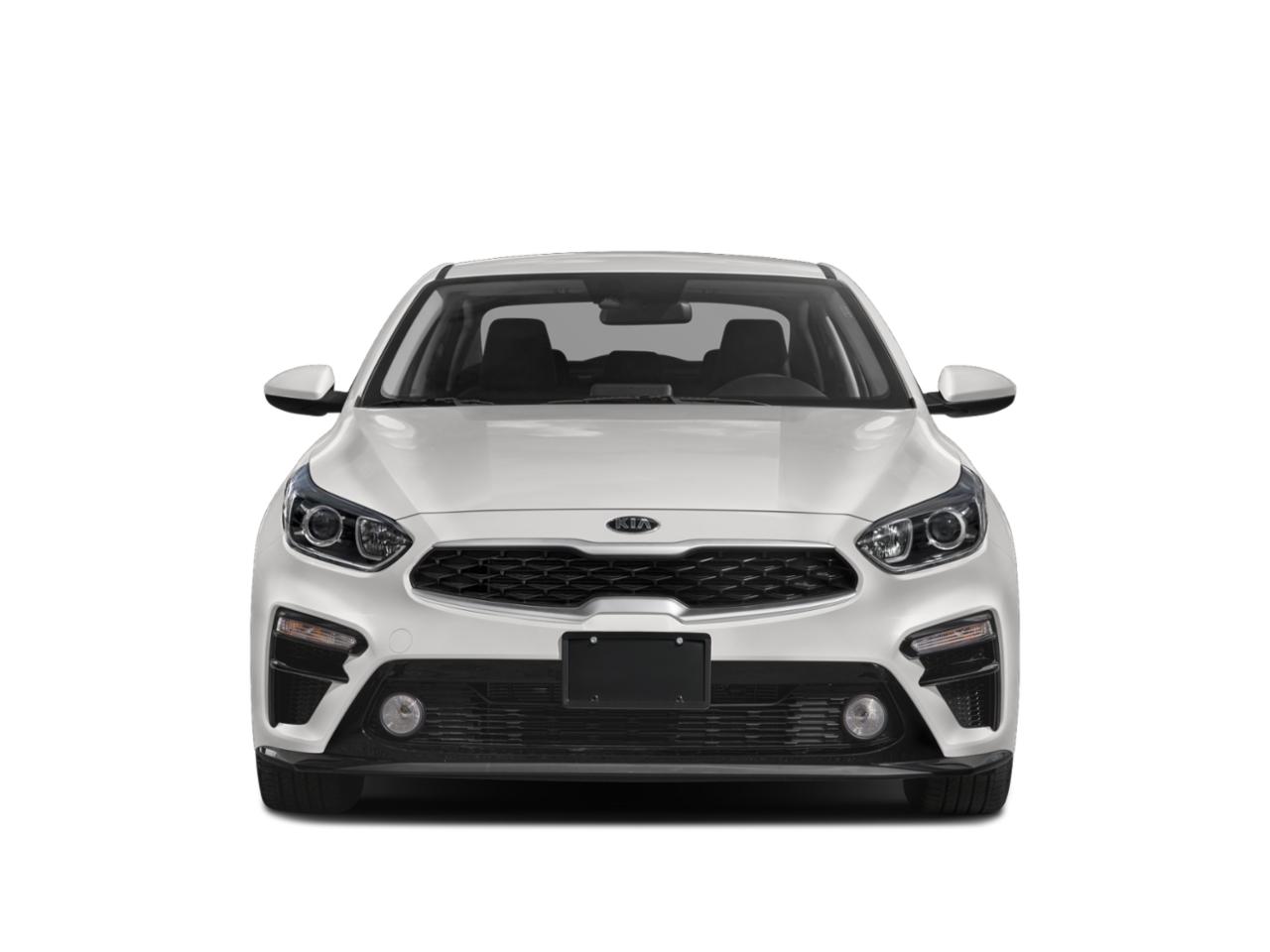 2019 Kia Forte Vehicle Photo in Lees Summit, MO 64086