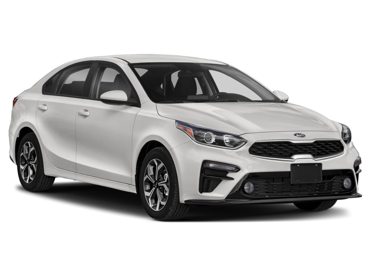 2019 Kia Forte Vehicle Photo in DUNN, NC 28334-8900