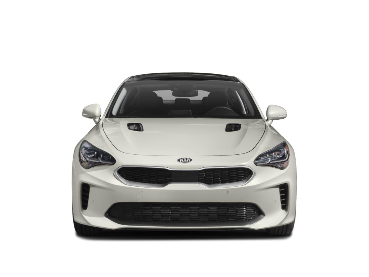 2019 Kia Stinger Vehicle Photo in Clearwater, FL 33765