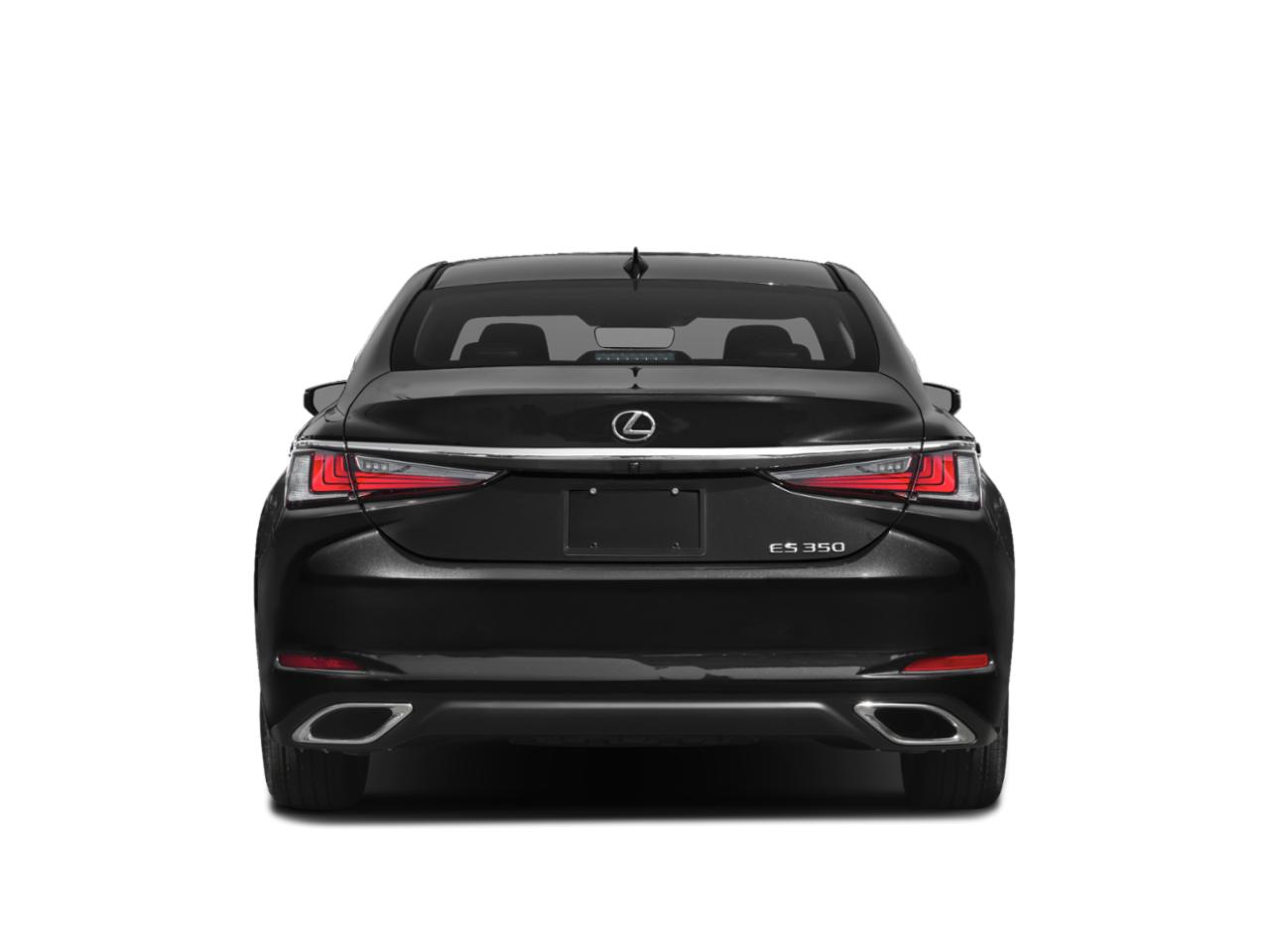 2019 Lexus ES 350 Vehicle Photo in Winter Park, FL 32792