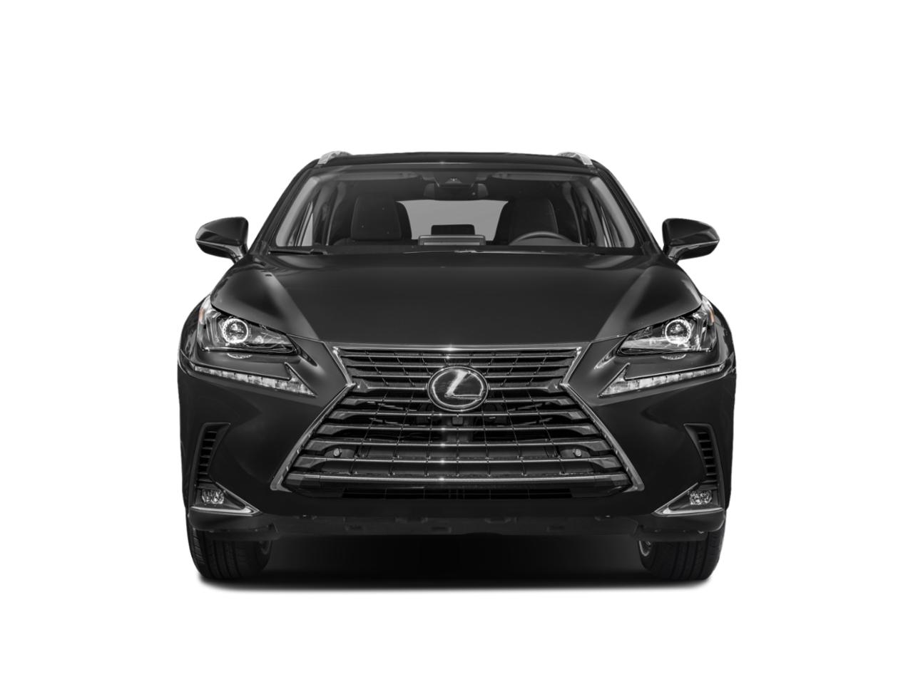 2019 Lexus NX 300 Vehicle Photo in Delray Beach, FL 33444